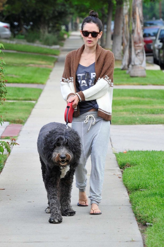 Rachel Bilson walking her dog in Los Angeles