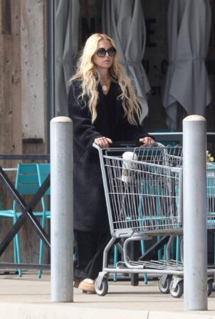 Rachel Zoe - Goes shopping in Malibu