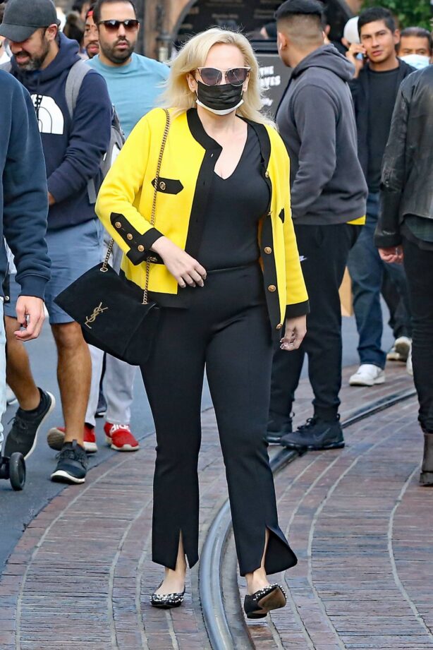 Rebel Wilson - Out shopping in Los Angeles