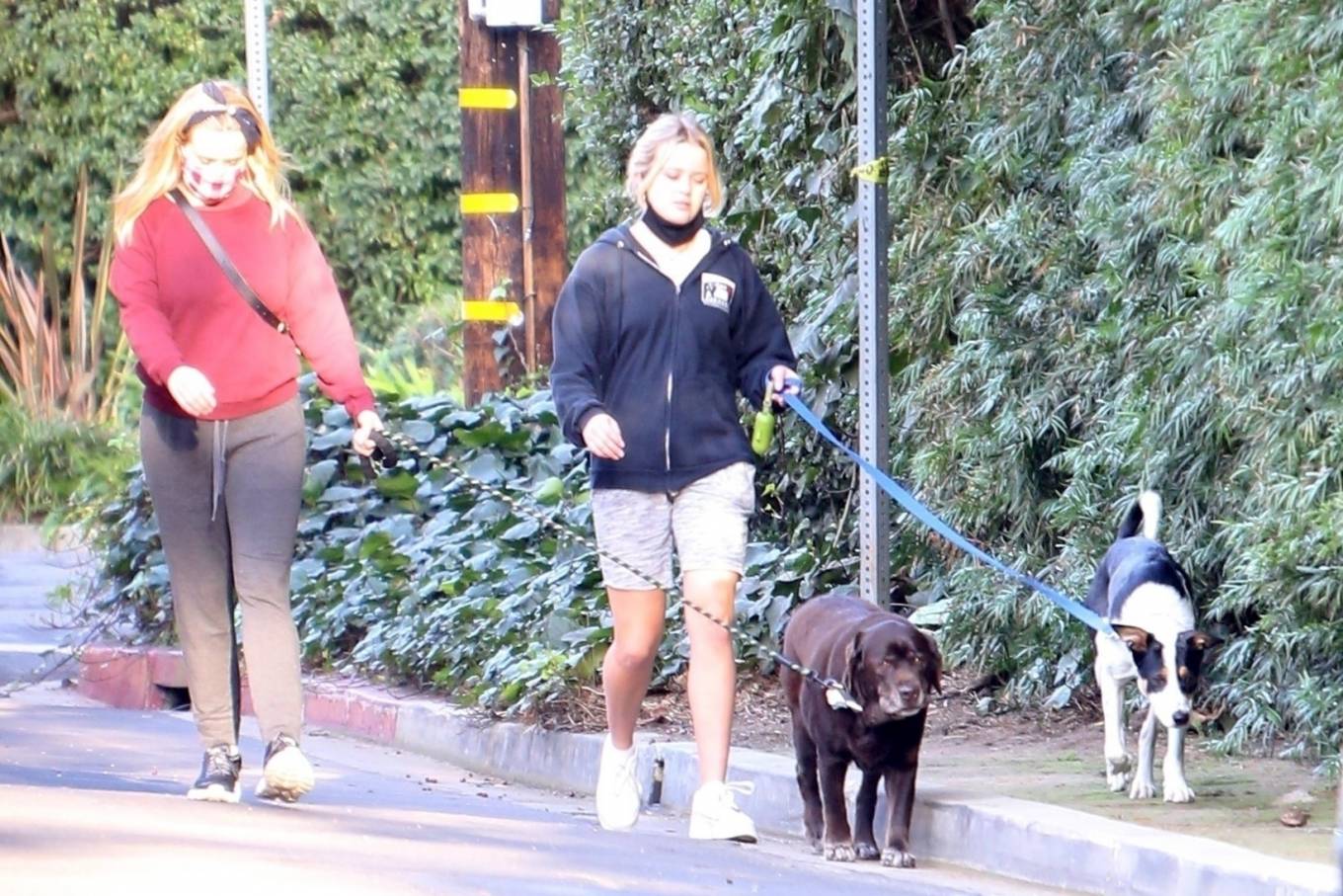 Reese Witherspoon and Ava Elizabeth Phillippe - Walk their dogs in Brentwoo...