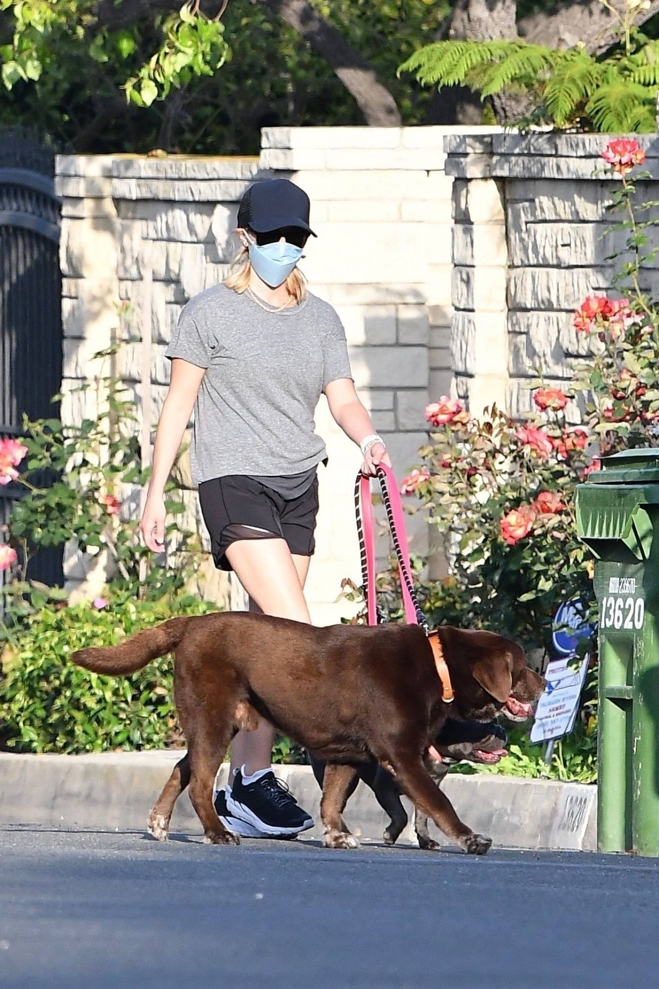 Reese Witherspoon - Spotted walking her dogs in Malibu-03 | GotCeleb