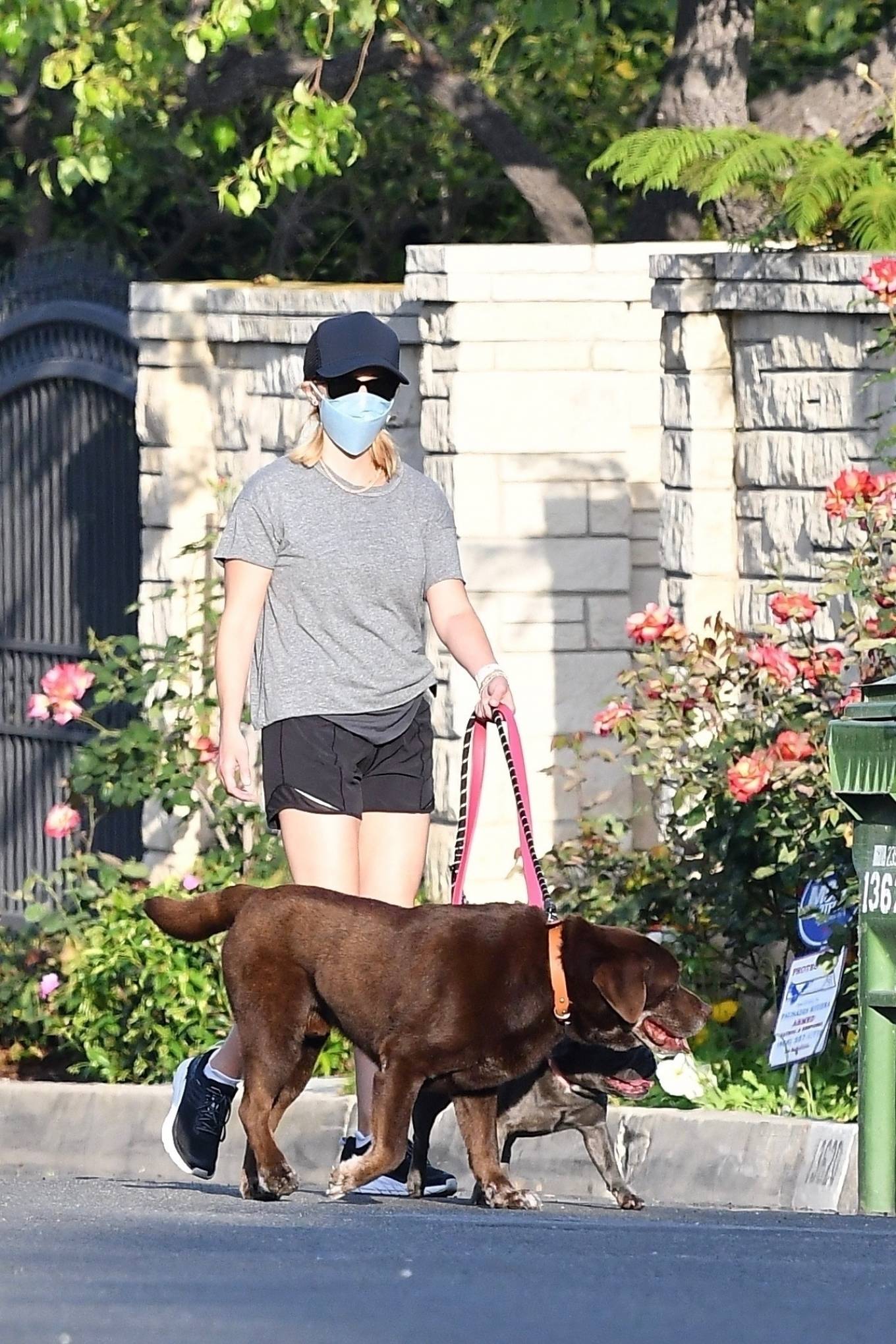Reese Witherspoon - Spotted walking her dogs in Malibu-06 | GotCeleb