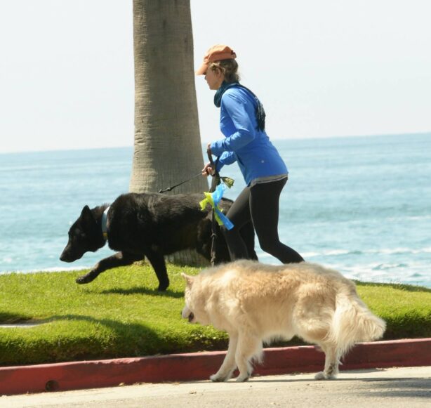 Renee Zellweger - Seen with her dogs in Laguna Beach