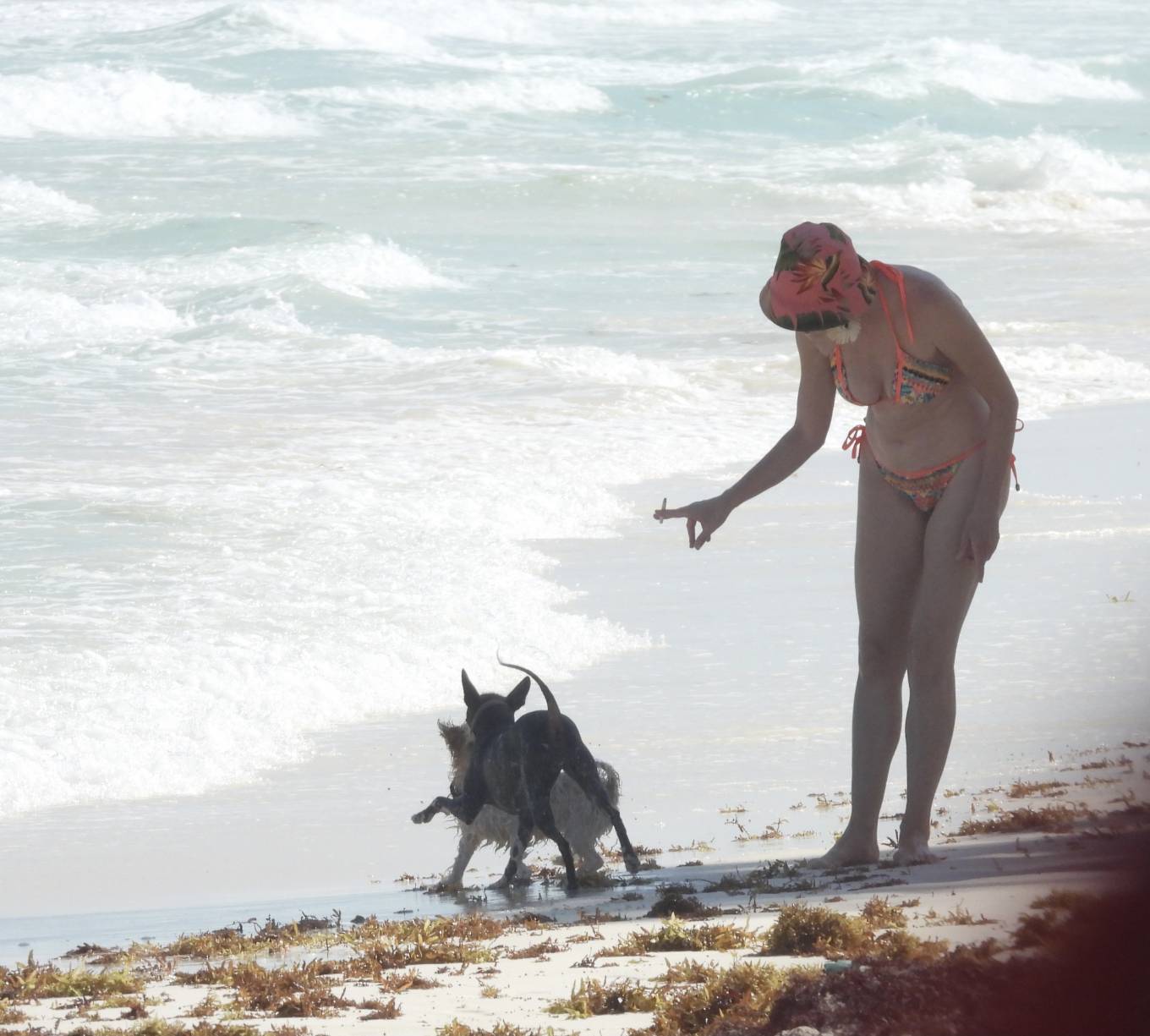 Rose McGowan - In a bikini hits the beach in Tulum. 