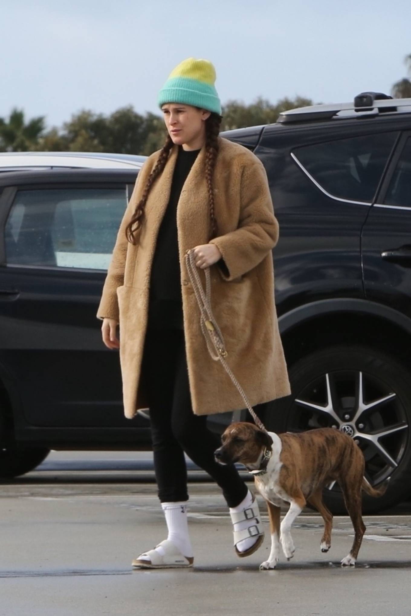 Rumer Willis - Brings her dog to the animal hospital in Los Angeles