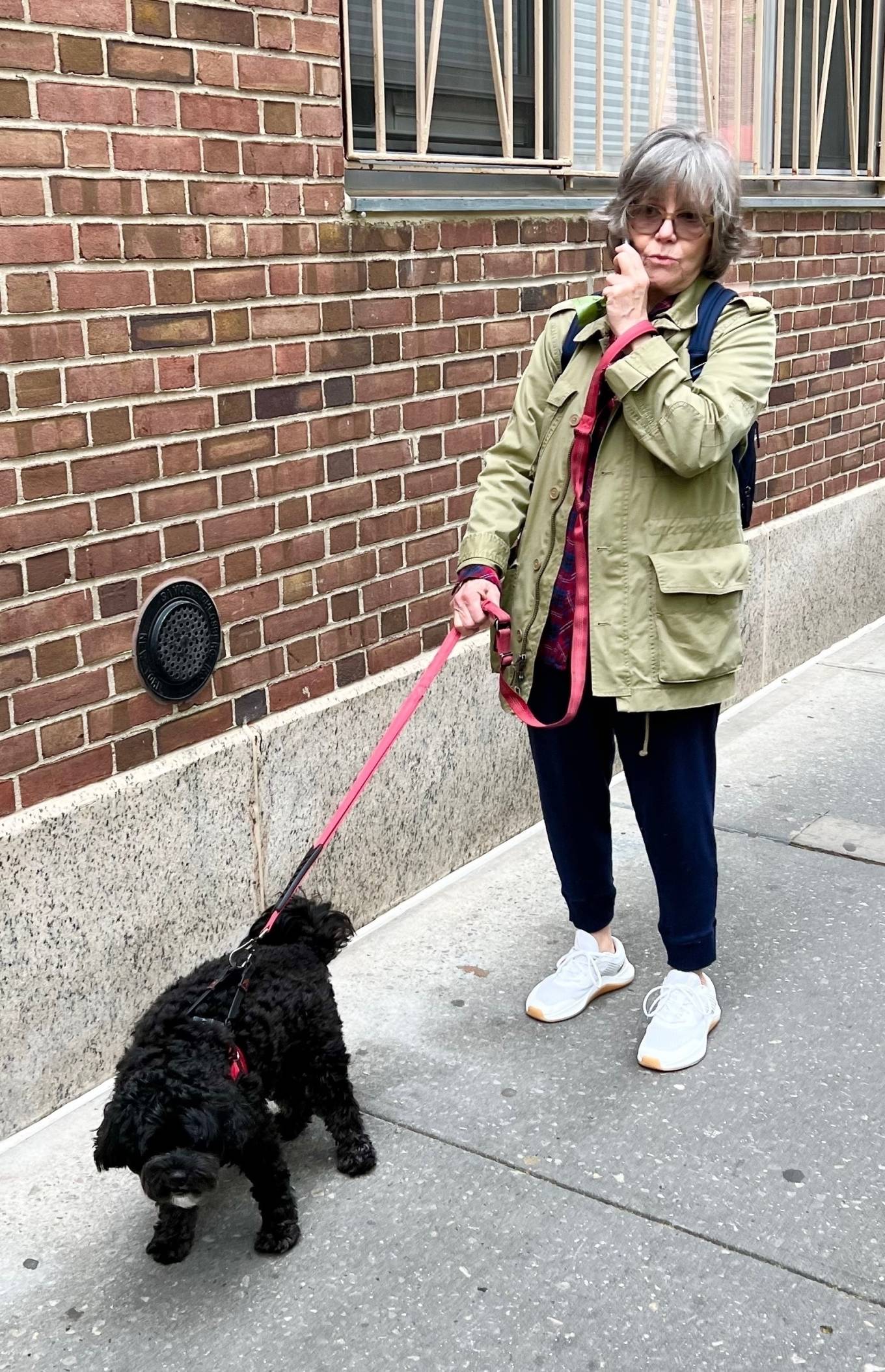 Sally Field - Walking her dog in New York