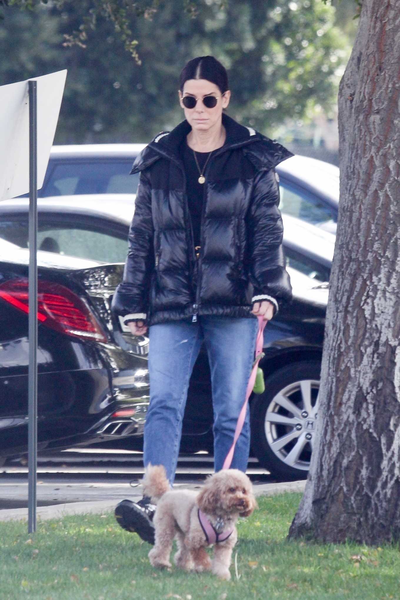 Sandra Bullock – Takes her dog out for an afternoon walk in Van Nuys ...