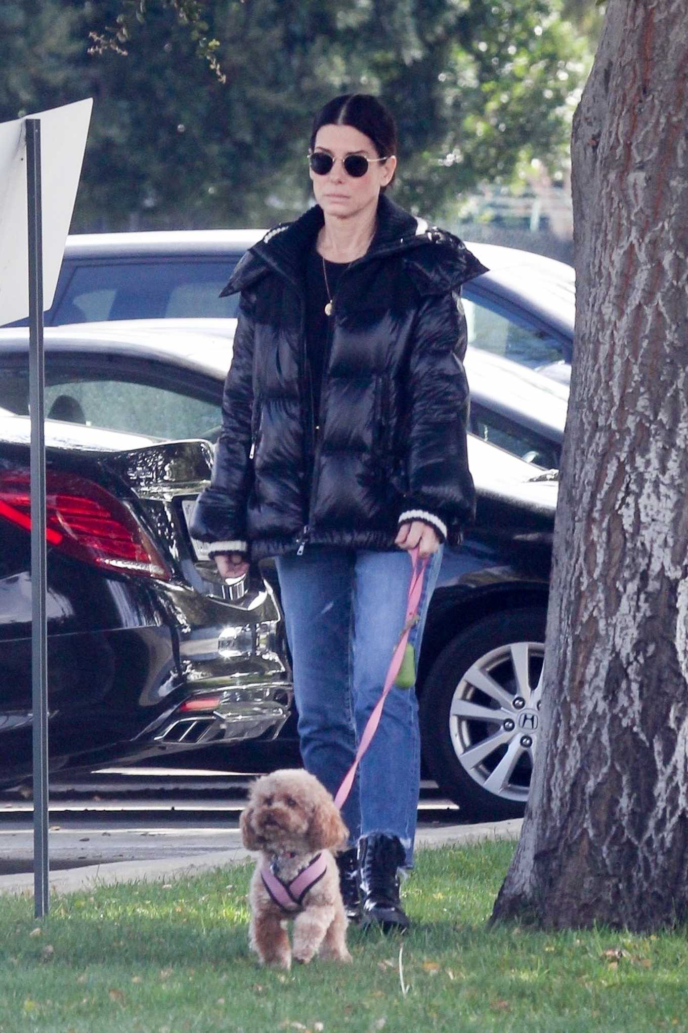 Sandra Bullock - Takes her dog out for an afternoon walk in Van Nuys-10 ...