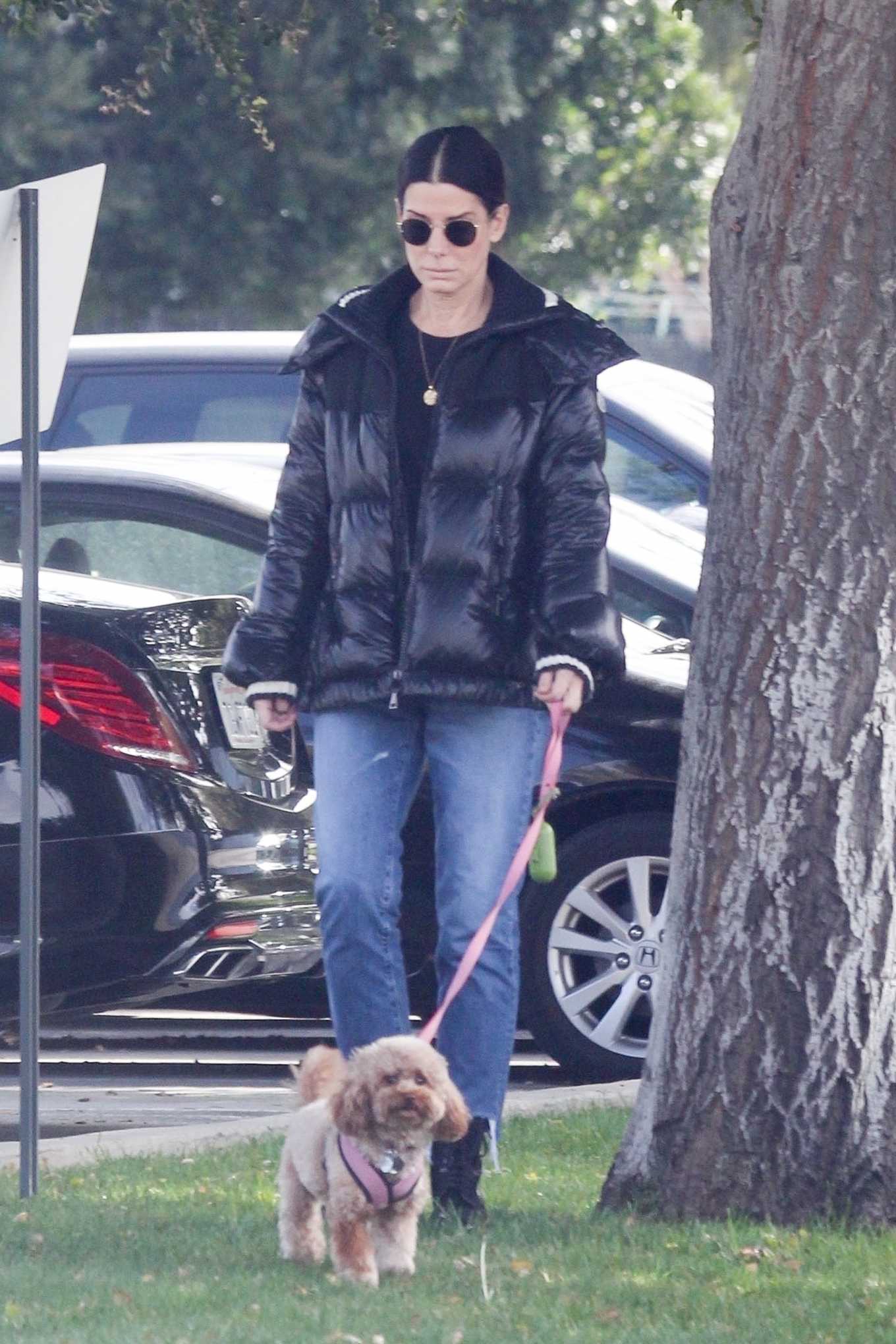 Sandra Bullock - Takes her dog out for an afternoon walk in Van Nuys-11 ...