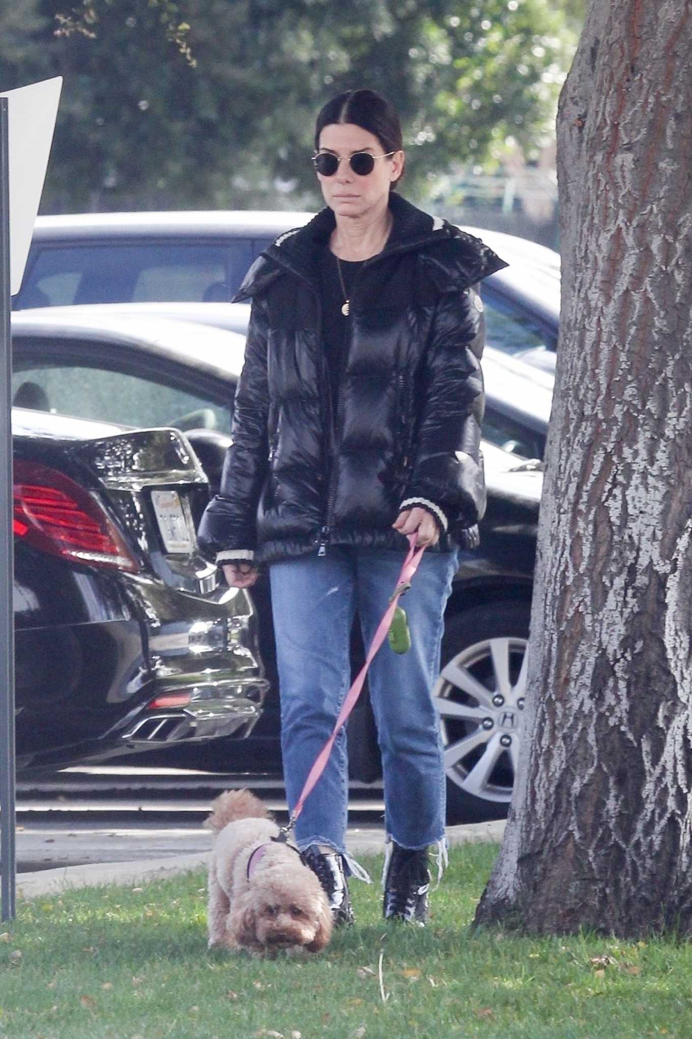 Sandra Bullock - Takes her dog out for an afternoon walk in Van Nuys-12 ...