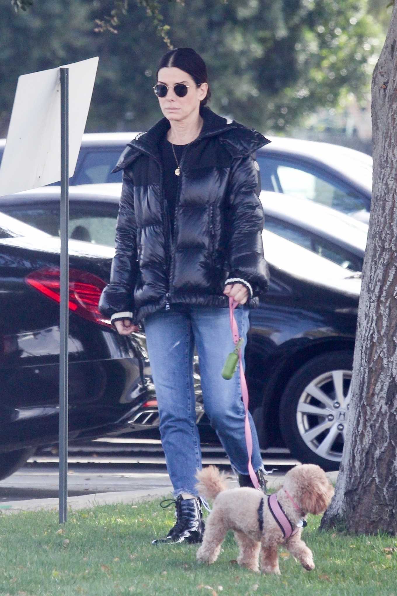 Sandra Bullock - Takes her dog out for an afternoon walk in Van Nuys-14 ...