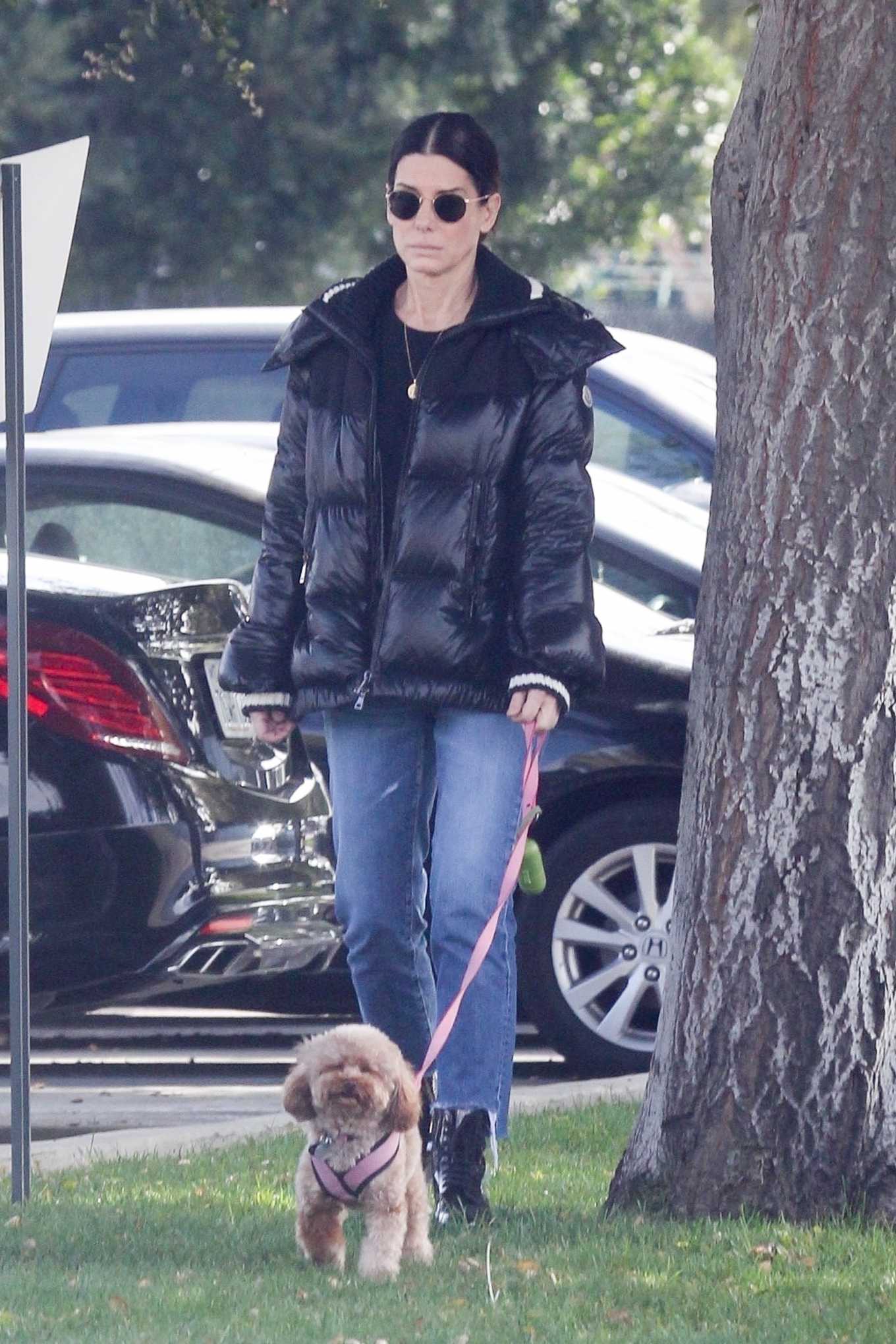 Sandra Bullock - Takes her dog out for an afternoon walk in Van Nuys-15 ...