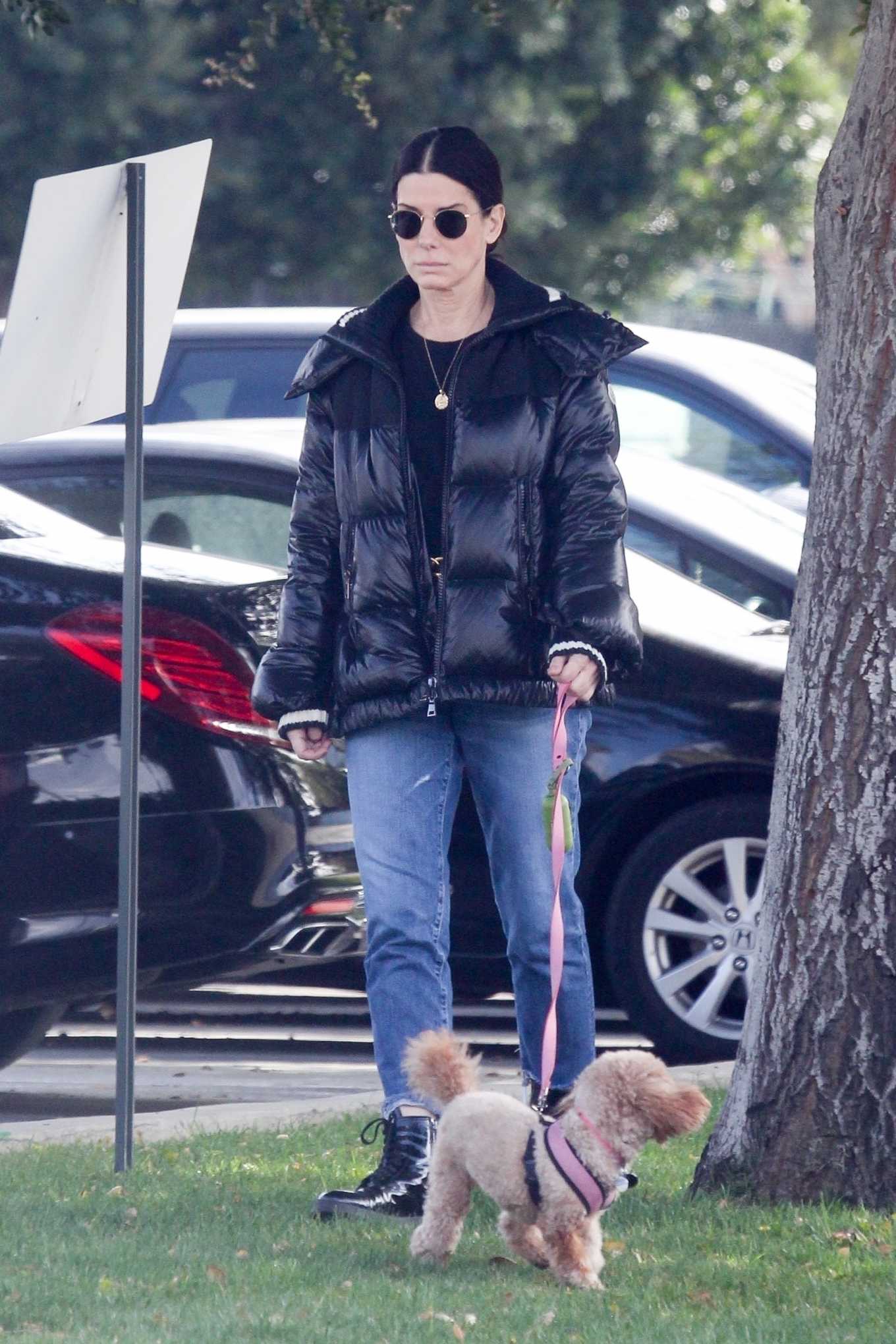 Sandra Bullock - Takes her dog out for an afternoon walk in Van Nuys-19 ...