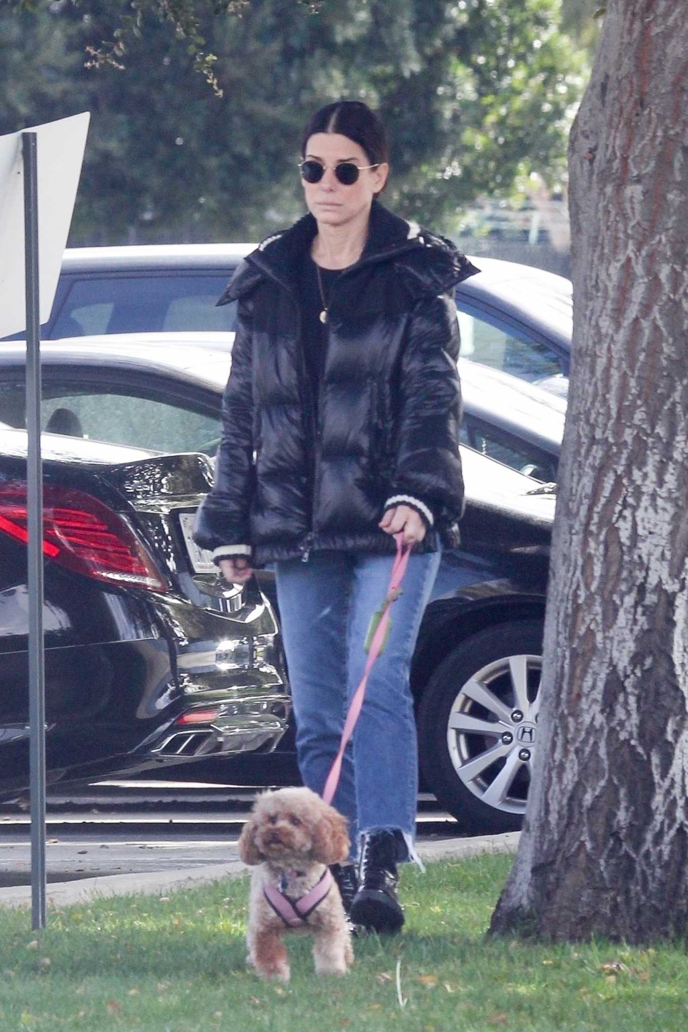 Sandra Bullock - Takes her dog out for an afternoon walk in Van Nuys-28 ...