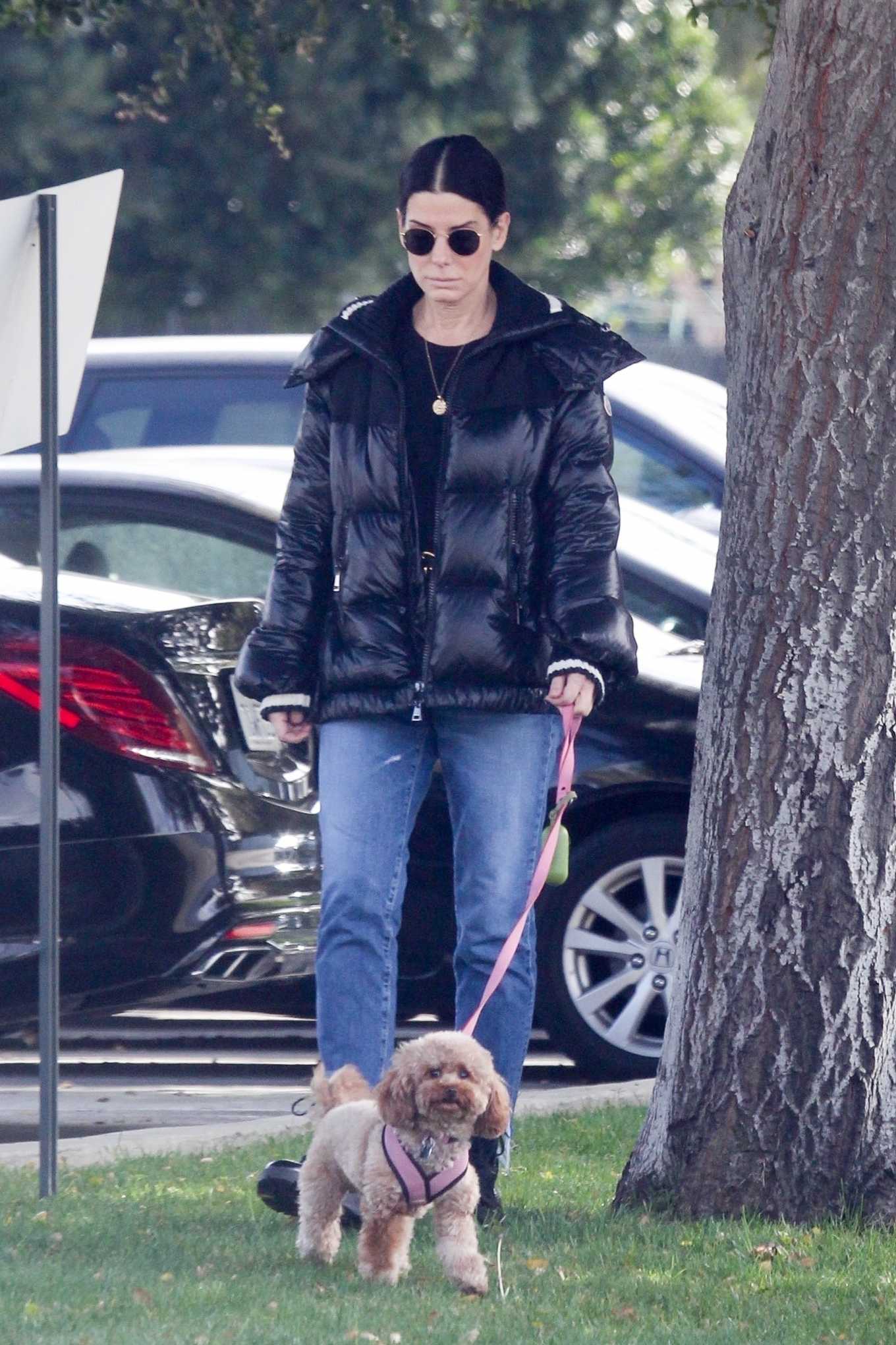 Sandra Bullock - Takes her dog out for an afternoon walk in Van Nuys-33 ...