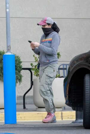 Sarah Silverman - Does her grocery shopping at Gelson's Market in Los Feliz