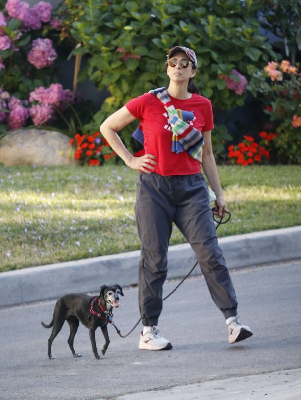 Sarah Silverman - Spotted on a dog walk in Los Angeles