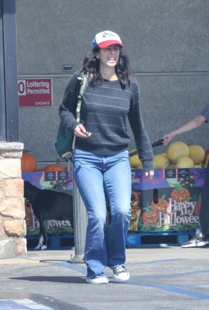 Sarah Silverman - Wearing blue denim jeans at Gelson's Markets in Los Feliz