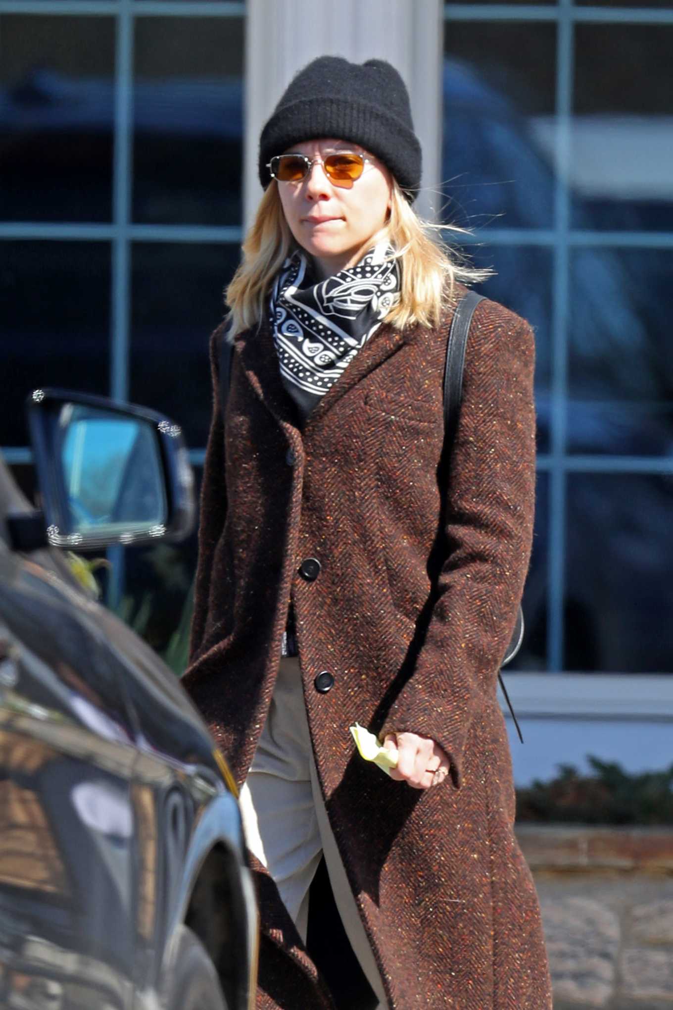 Scarlett Johansson â€“ Grocery Shopping In The Hamptons