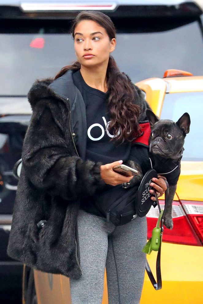 Shanina Shaik with her dog out in New York City