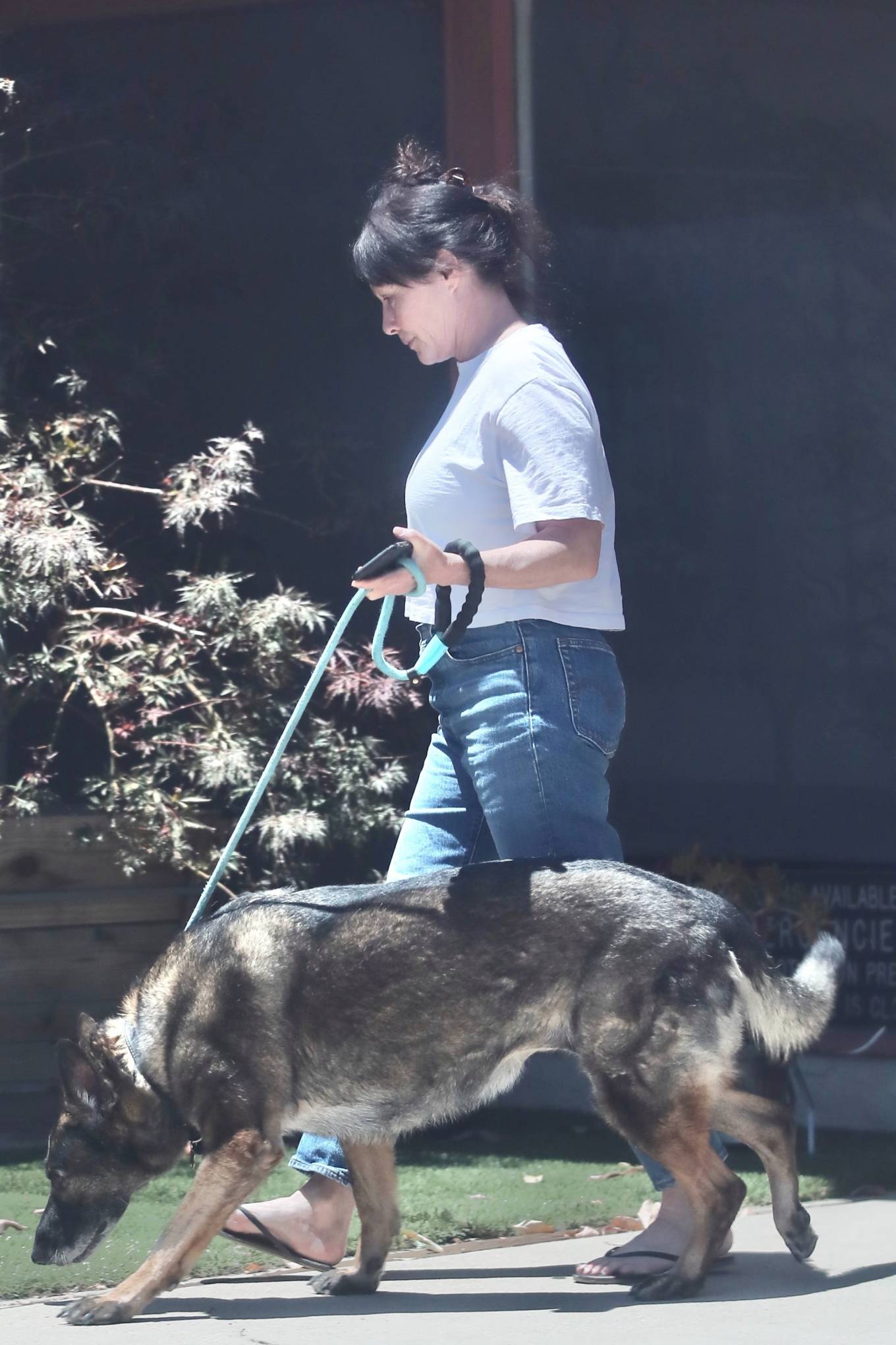 Shannen Doherty - Spotted taking her German Shepperd for a check-up in Calabasas