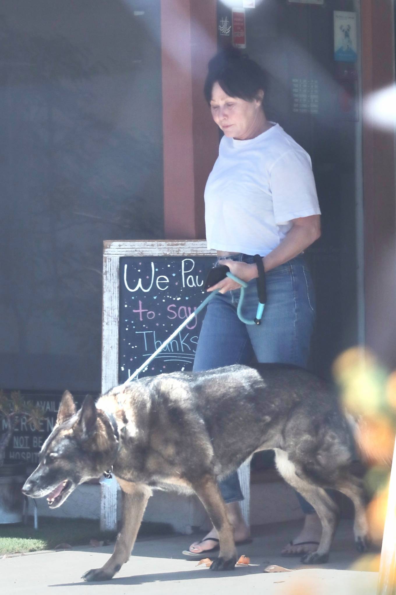 Shannen Doherty 2022 : Shannen Doherty – Spotted taking her German Shepperd for a check-up in Calabasas-03
