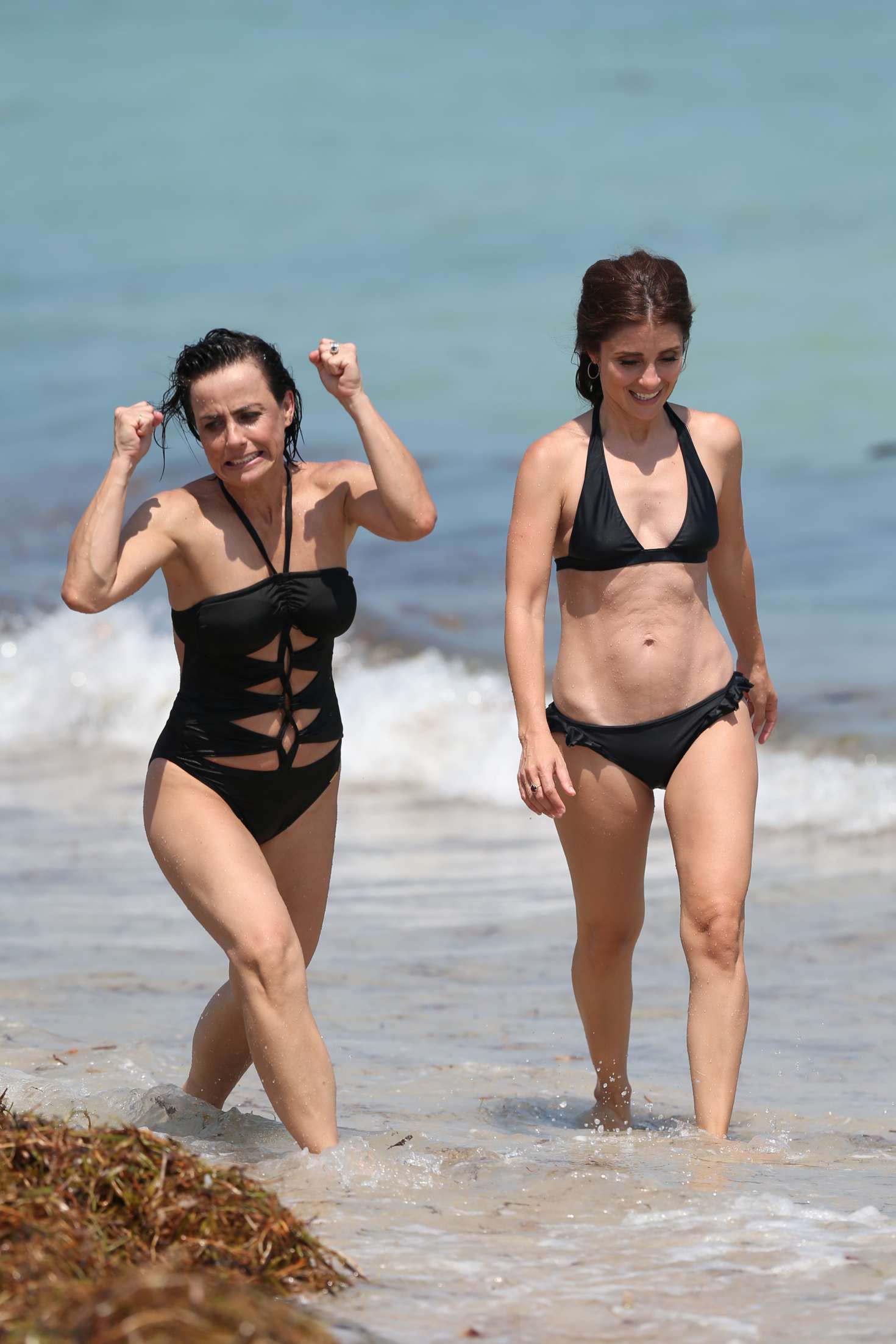 Shiri Appleby and Constance Zimmer: Bikini candids as they ...
