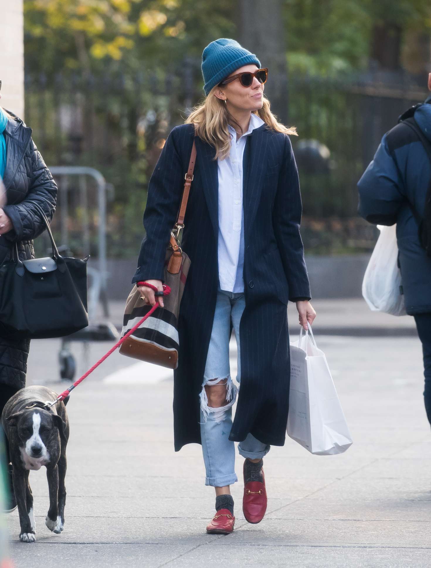 Sienna Miller - Walking her dog in New York