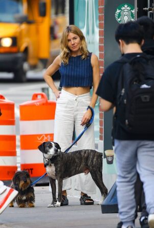 Sienna Miller - With her dog in the West Village - New York