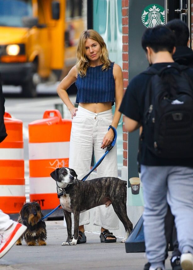 Sienna Miller - With her dog in the West Village - New York