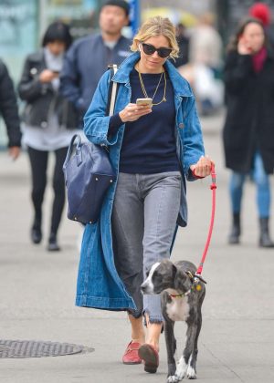 Sienna Miller With Her Dog out in New York