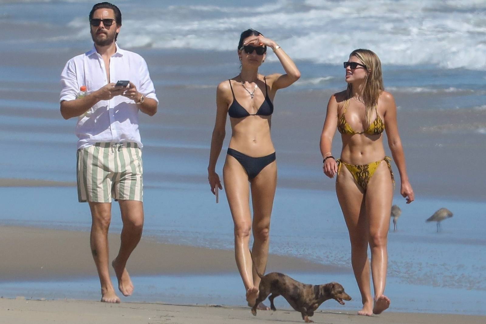 Sofia Richie â€“ In Yellow bikini on a beach in Malibu