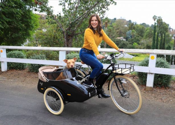 Sophia Bush - Spotted while driving her Dog with a Bike in Los Angeles