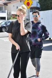 Sophie Turner and Joe Jonas - Go to Petco with their dog in Studio City
