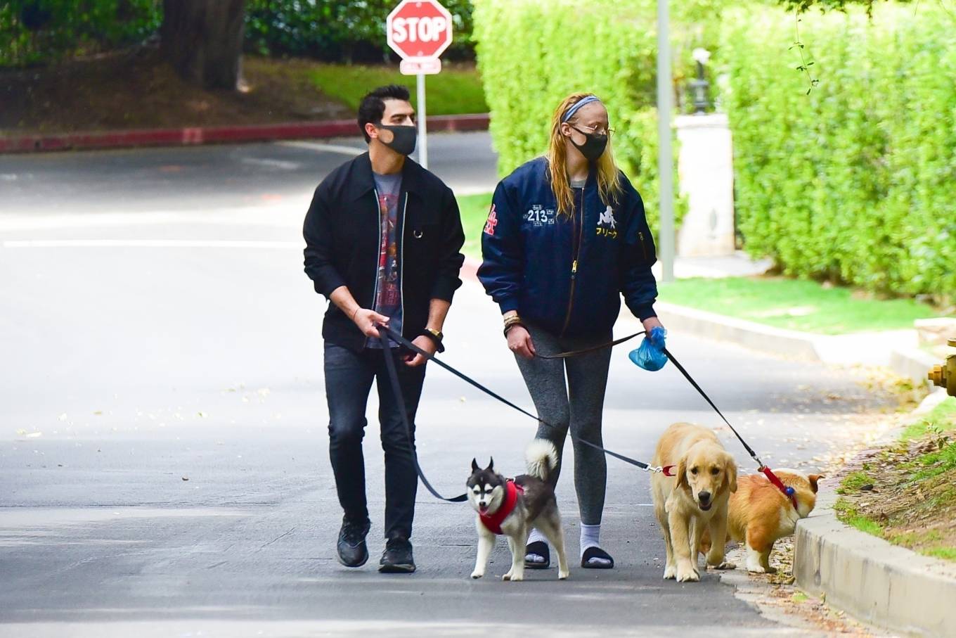 Sophie Turner â€“ Spotted while walking her dogs in Los Angeles