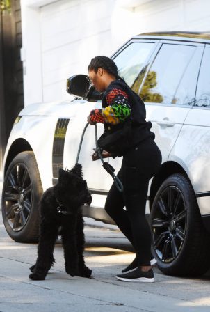 Taylor Simone Ledward - Steps out with her dog in Los Angeles