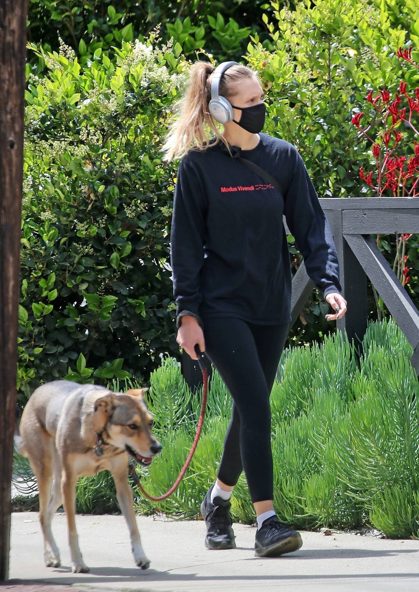Teresa Palmer 2020 : Teresa Palmer – Out for a walk with her dog in Los Angeles-04