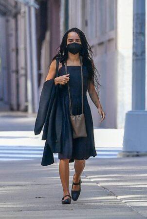 Zoe Kravitz - Out in New York