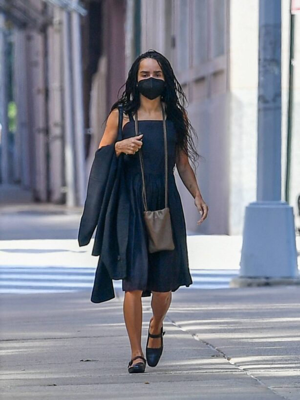 Zoe Kravitz - Out in New York